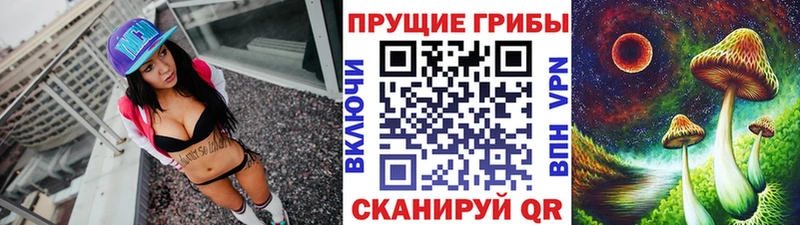 Купить  Мышкин  Псилоцибиновые грибы MAGIC MUSHROOMS 